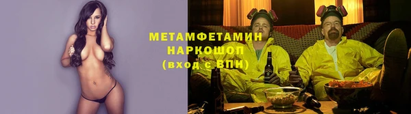 бошки Белокуриха