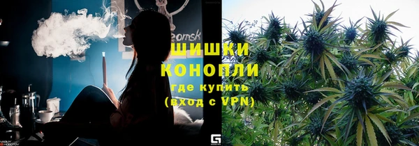 бошки Белокуриха