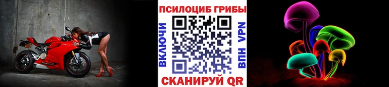 Псилоцибиновые грибы прущие грибы  Казань 